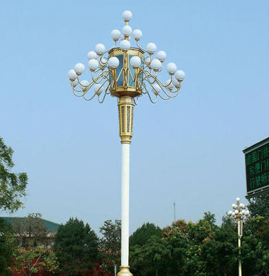 阿拉尔农场中华灯